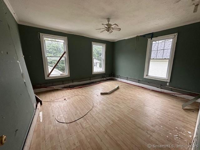 29 Division St, Norwich, CT 06360 - empty room featuring hardwood / wood-style flooring and ceiling fan