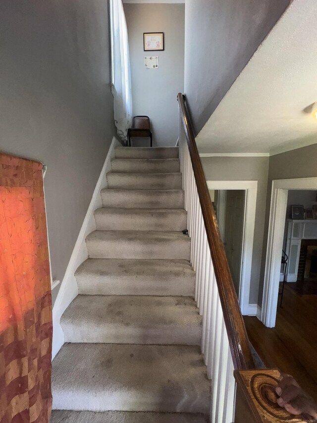 184 Palm St, Hartford, CT 06112 - photo 20