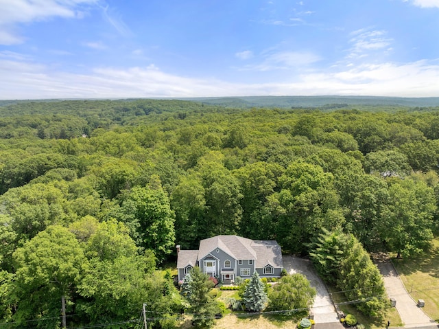 35 Hunting Ridge Rd, Easton, CT 06612 - view from above of property featuring a forest