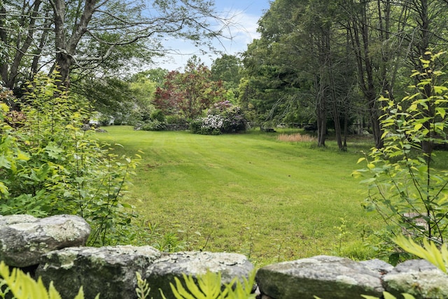 104 Quaker Farm Rd, Groton, CT 06355 - view of grassy yard