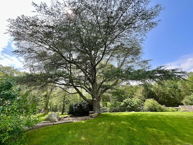 104 Quaker Farm Rd, Groton, CT 06355 - view of grassy yard