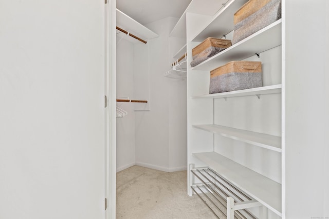 70 Prospect Hill Rd, Groton, CT 06340 - walk in closet featuring carpet
