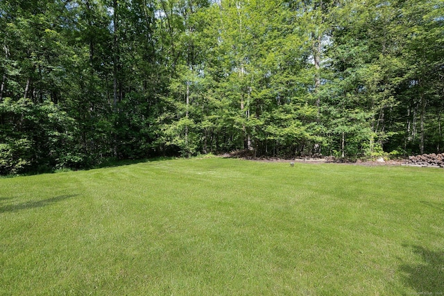58 Snake Meadow Rd, Killingly, CT 06239 - view of green lawn with a view of trees
