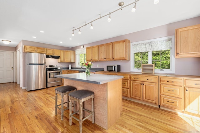 58 Snake Meadow Rd, Killingly, CT 06239 - kitchen featuring appliances with stainless steel finishes, a breakfast bar, under cabinet range hood, healthy amount of natural light, and recessed lighting