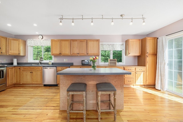 58 Snake Meadow Rd, Killingly, CT 06239 - kitchen with appliances with stainless steel finishes, plenty of natural light, light wood-type flooring, and recessed lighting