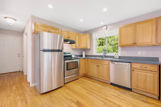 58 Snake Meadow Rd, Killingly, CT 06239 - kitchen featuring appliances with stainless steel finishes, under cabinet range hood, a sink, light wood-type flooring, and light brown cabinets