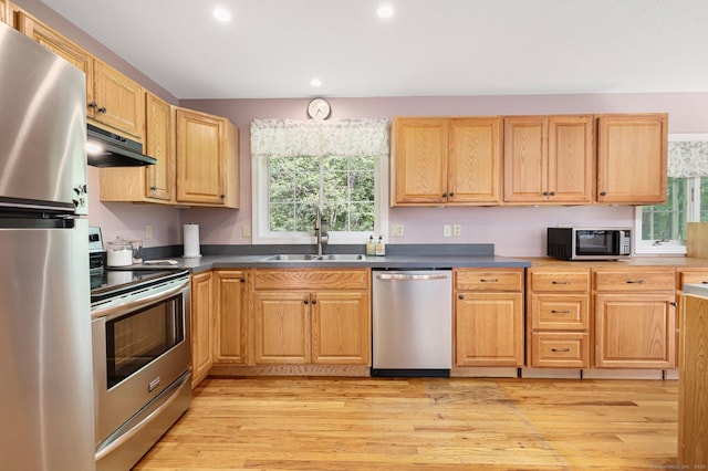 58 Snake Meadow Rd, Killingly, CT 06239 - kitchen featuring stainless steel appliances, a sink, under cabinet range hood, recessed lighting, and light wood finished floors