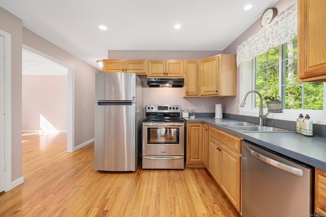 58 Snake Meadow Rd, Killingly, CT 06239 - kitchen featuring stainless steel appliances, under cabinet range hood, a sink, light wood finished floors, and recessed lighting