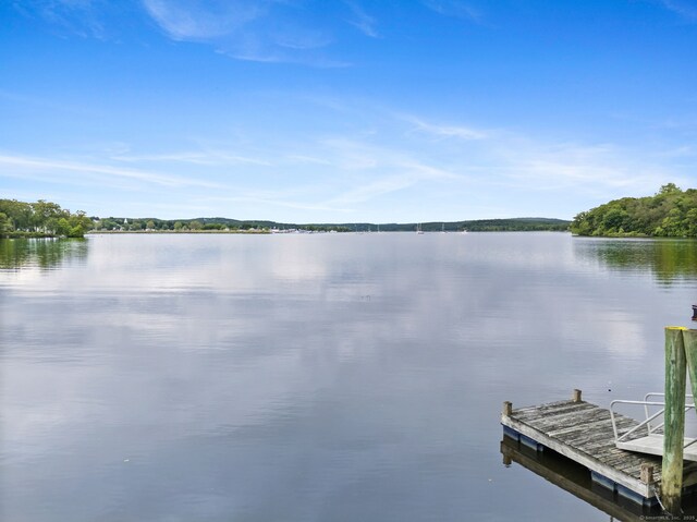 20 Hemlock Dr, Essex, CT 06426 - photo 32