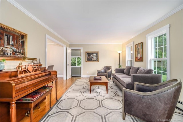 11 Wendover Rd, Newtown, CT 06470 - living room with light wood-type flooring, crown molding, and baseboards
