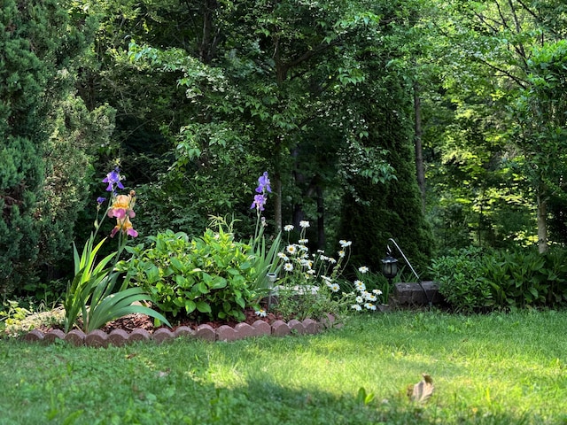 29 Swift St, Branford, CT 06405 - view of yard