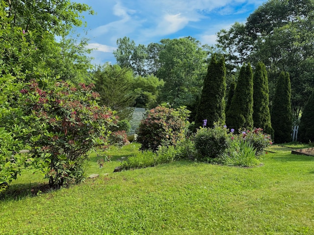 29 Swift St, Branford, CT 06405 - view of grassy yard