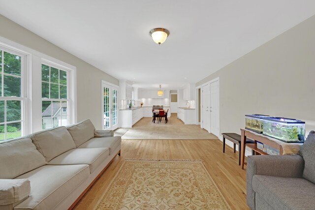 19 Maplecrest Dr, Danbury, CT 06811 - living room featuring light wood finished floors