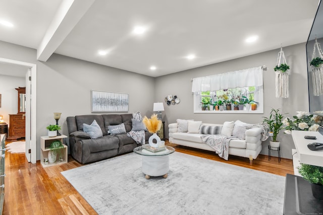 30 Hi Barlow Rd, Newtown, CT 06470 - living room with wood finished floors and recessed lighting