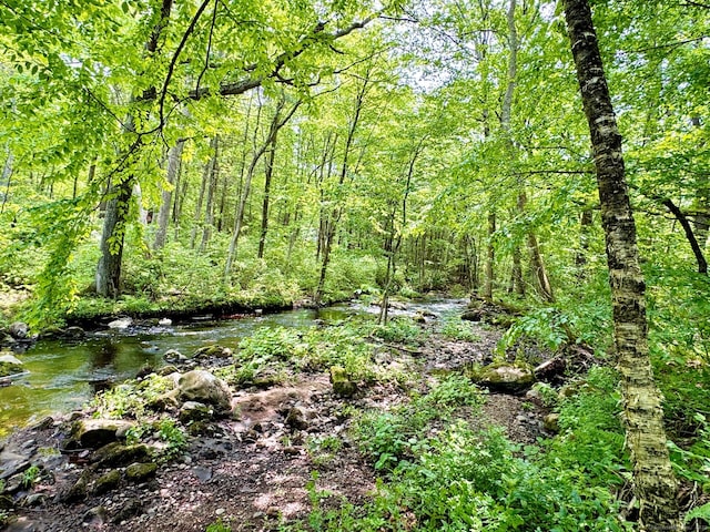 83 Shingle Mill Rd, Harwinton, CT 06791 - view of tree filled area
