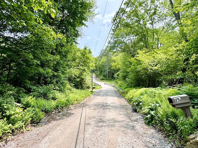 83 Shingle Mill Rd, Harwinton, CT 06791 - view of dirt / gravel road with a forest view