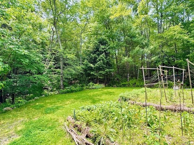 83 Shingle Mill Rd, Harwinton, CT 06791 - view of yard featuring a garden and a view of trees