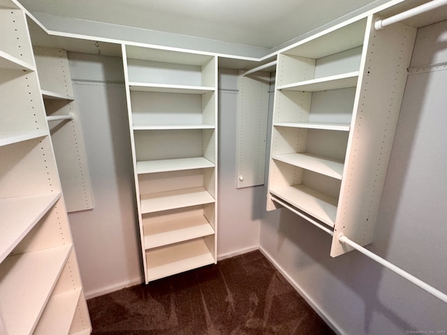 83 Shingle Mill Rd, Harwinton, CT 06791 - walk in closet with dark carpet