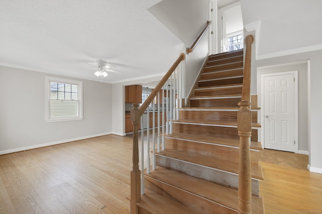 73 Camp Ave, Newington, CT 06111 - stairs featuring ceiling fan, plenty of natural light, hardwood / wood-style floors, and crown molding