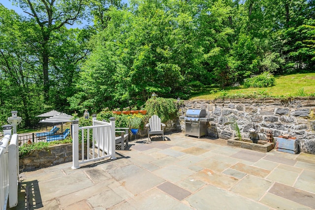 77 Crest Rd, Middlebury, CT 06762 - view of patio / terrace featuring area for grilling