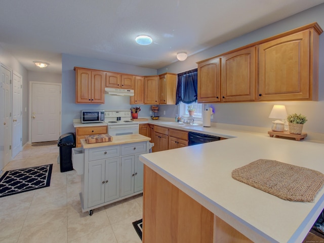 193 Pickett Rd, Plainfield, CT 06374 - kitchen featuring electric range, under cabinet range hood, dishwasher, light countertops, and a peninsula