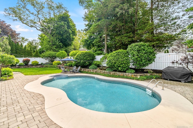 55 Perry Ln, Stratford, CT 06614 - view of swimming pool featuring a patio, a fenced backyard, area for grilling, and view of scattered trees