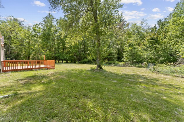 95 Tolland Ave, Stafford, CT 06076 - photo 38