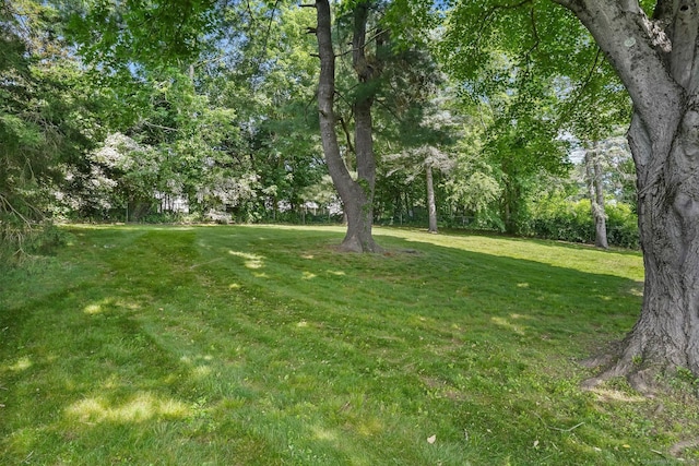86 Rice Rd, Meriden, CT 06450 - view of green lawn