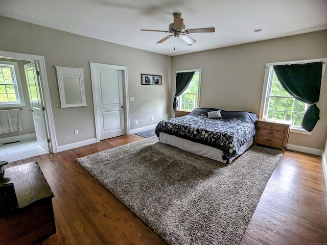 5 Newberry St, Haddam, CT 06441 - bedroom featuring multiple windows, baseboards, wood finished floors, and a ceiling fan