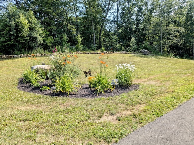 5 Newberry St, Haddam, CT 06441 - view of green lawn