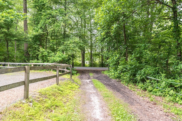 29 Daniels Rd, East Haddam, CT 06423 - view of dirt / gravel road with a view of trees