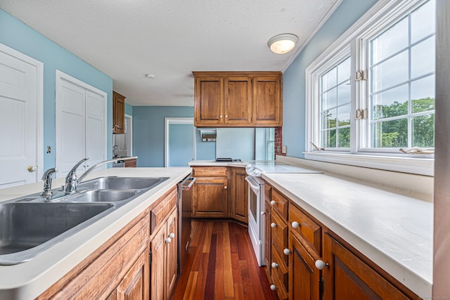 29 Daniels Rd, East Haddam, CT 06423 - kitchen with dark wood-style floors, a sink, brown cabinetry, white range with electric stovetop, and dishwasher