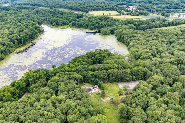 29 Daniels Rd, East Haddam, CT 06423 - aerial view of a forest and a nearby body of water