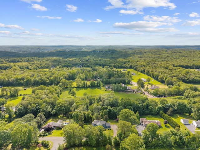 403 Bethmour Rd, Bethany, CT 06524 - bird's eye view of a heavily wooded area