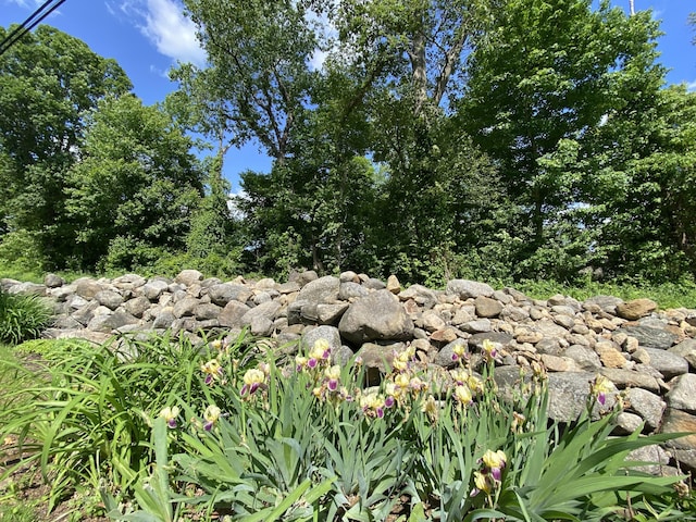 403 Bethmour Rd, Bethany, CT 06524 - view of nature