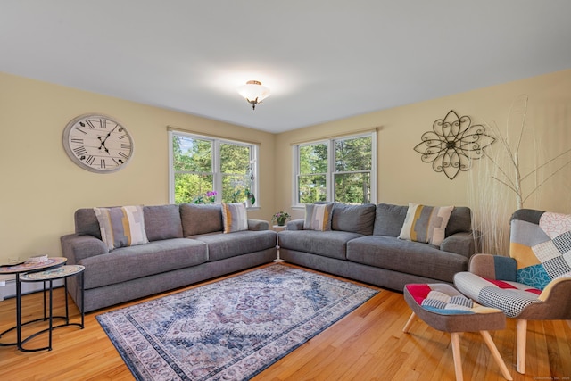 403 Bethmour Rd, Bethany, CT 06524 - living area featuring healthy amount of natural light and wood finished floors