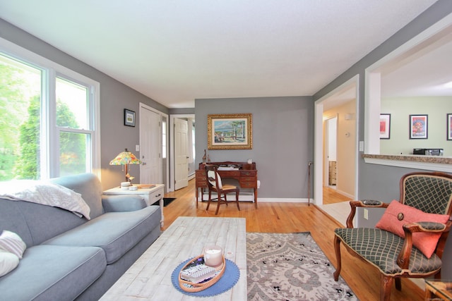 1 Deerfield Rd, Enfield, CT 06010 - living area featuring light wood-type flooring and baseboard heating