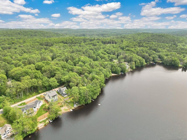 60 Indian Spring Rd, Woodstock, CT 06281 - drone / aerial view of a forest and a large body of water
