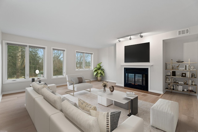 80 Seaview Ter Unit 12, Guilford, CT 06437 - living area with a glass covered fireplace, light wood-type flooring, and track lighting