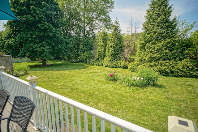 49 Hintz Dr, Wallingford, CT 06492 - view of grassy yard