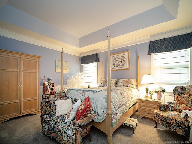 3 Timberland Way Unit 3, Beacon Falls, CT 06403 - bedroom with carpet flooring, a tray ceiling, and ornamental molding