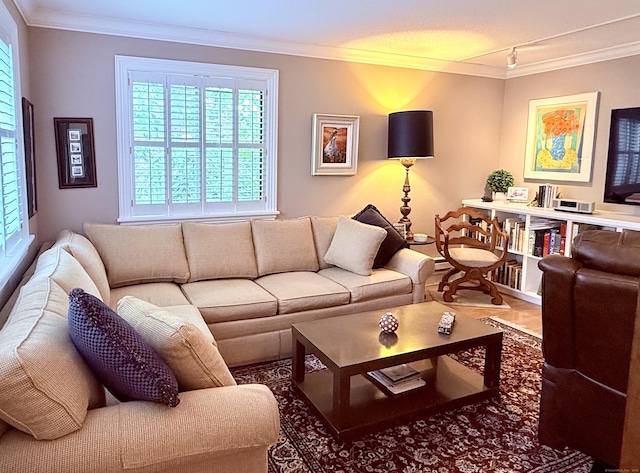 12 Heritage Crst Unit E, Southbury, CT 06488 - living area featuring ornamental molding and track lighting