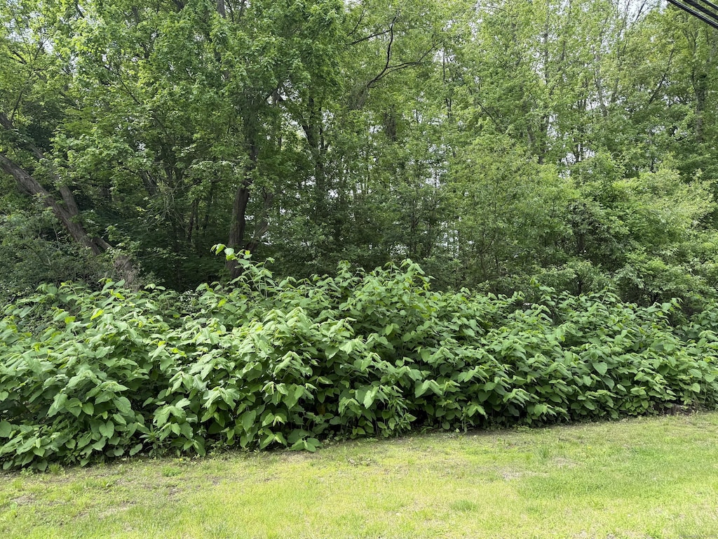 2 Sandra Ave, Plymouth, CT 06786