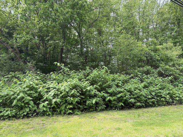 2 Sandra Ave, Plymouth, CT 06786