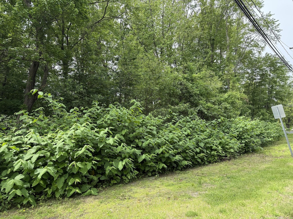 2 Sandra Ave, Plymouth, CT 06786