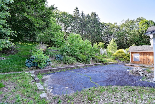 673 May St, Naugatuck, CT 06770 - view of yard