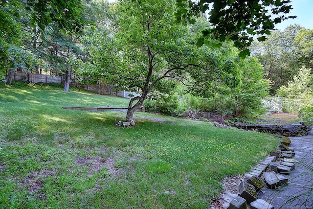 673 May St, Naugatuck, CT 06770 - view of yard