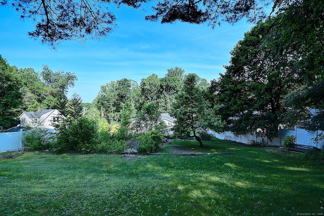 673 May St, Naugatuck, CT 06770 - view of yard