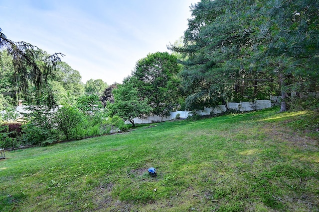 673 May St, Naugatuck, CT 06770 - view of yard