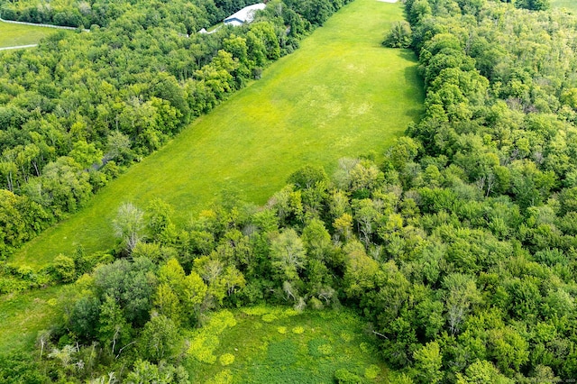 LOT1060804 Popple Swamp Rd, Washington, CT 06794 - photo 3